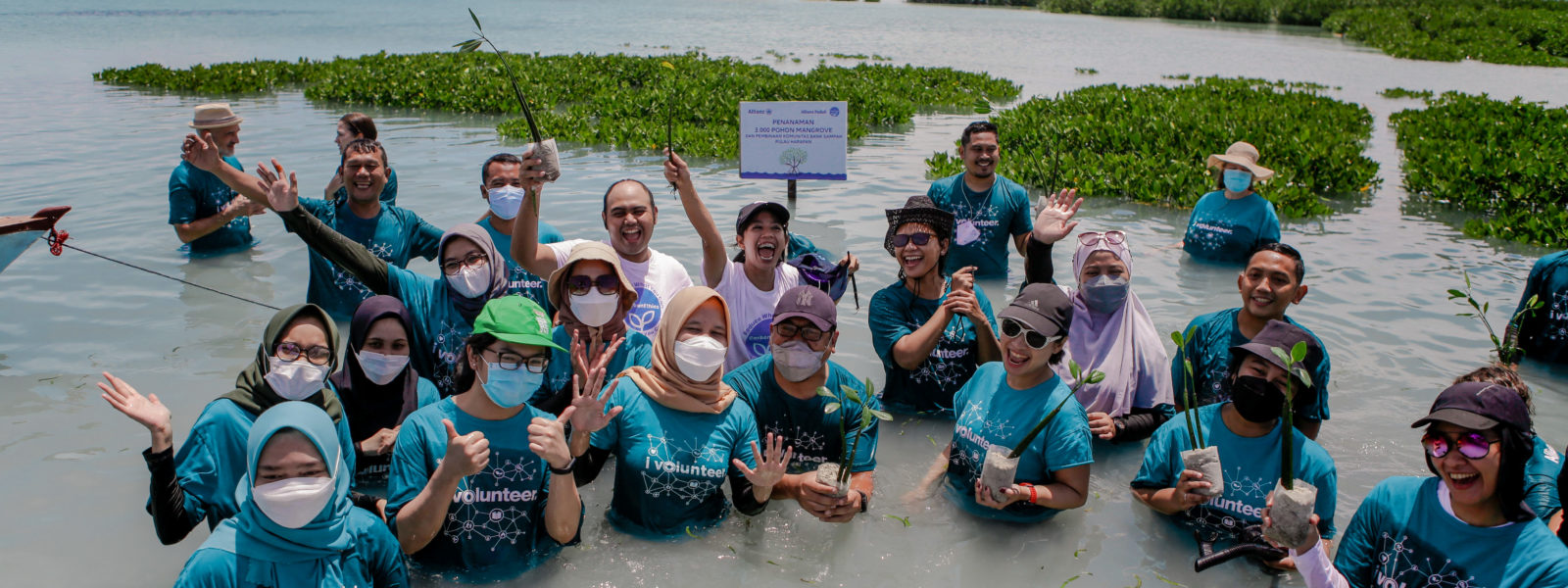 Allianz Indonesia Joined Pulau Harapan Trip to Plant 3,000 Mangroves