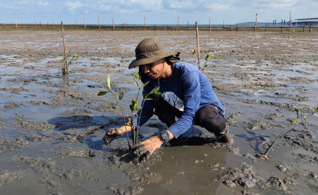 Mangrove Planting, Dompak, Kepulauan Riau