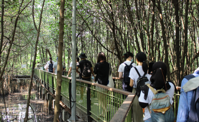 Mangrove Planting, Jakarta