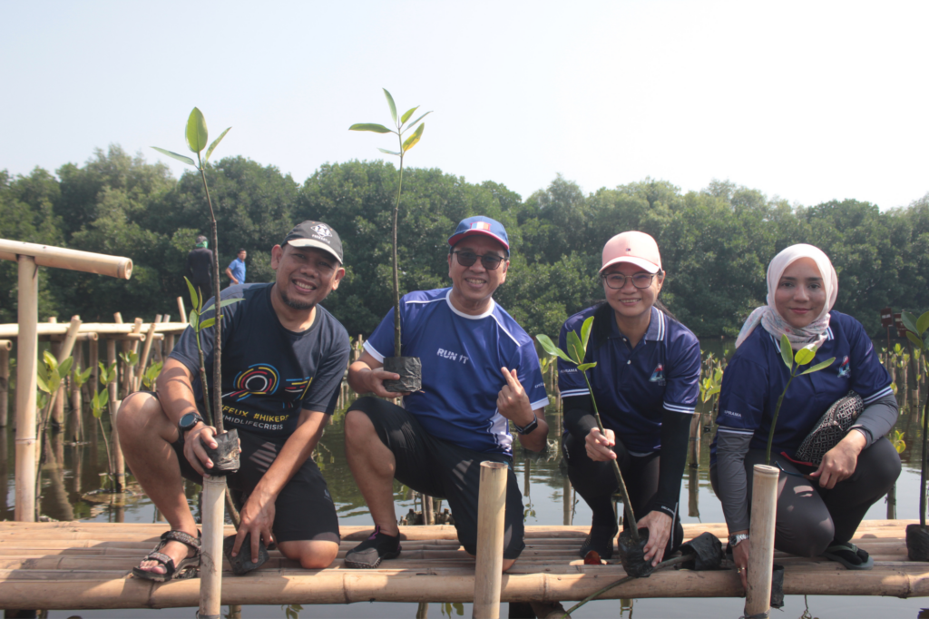 4 peserta gathering kantor memegang bibit mangrove memakai baju biru dongker di plafon bambu di tepi situs penamaman mangrove
