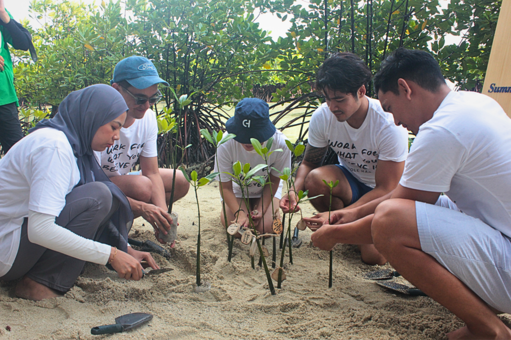 5 peserta acara gathering kantor berbaju putih mengelilingi lokasi penanaman bibit mangrove di tepi pantai berpasir
