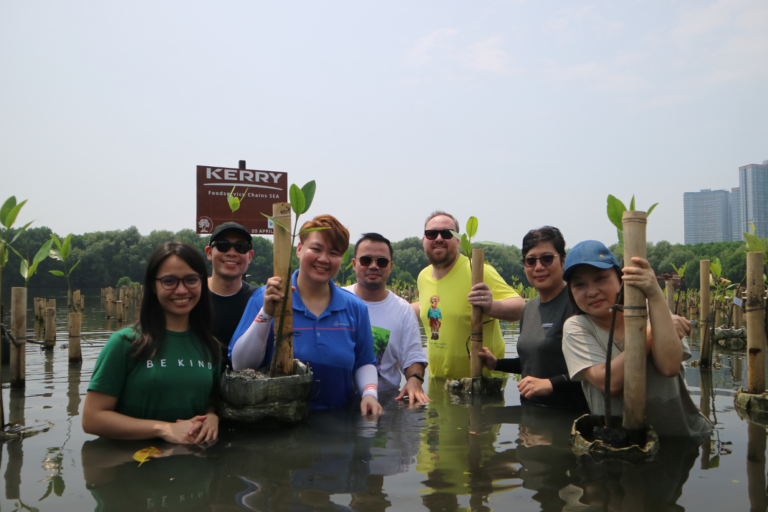 peserta acara penanaman mangrove dari perusahan Kerry berdiri di atas genangan air pantai area konservasi mangrove