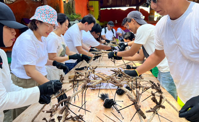 Coral restoration, Bali, Padang Bai