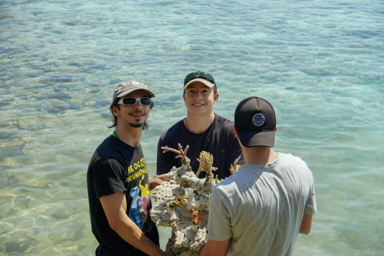 3 pria peserta acara penanaman terumbu karang bersama mengangkat benih terumbu karang yang akan ditanam dalam upaya mencapai SDGs