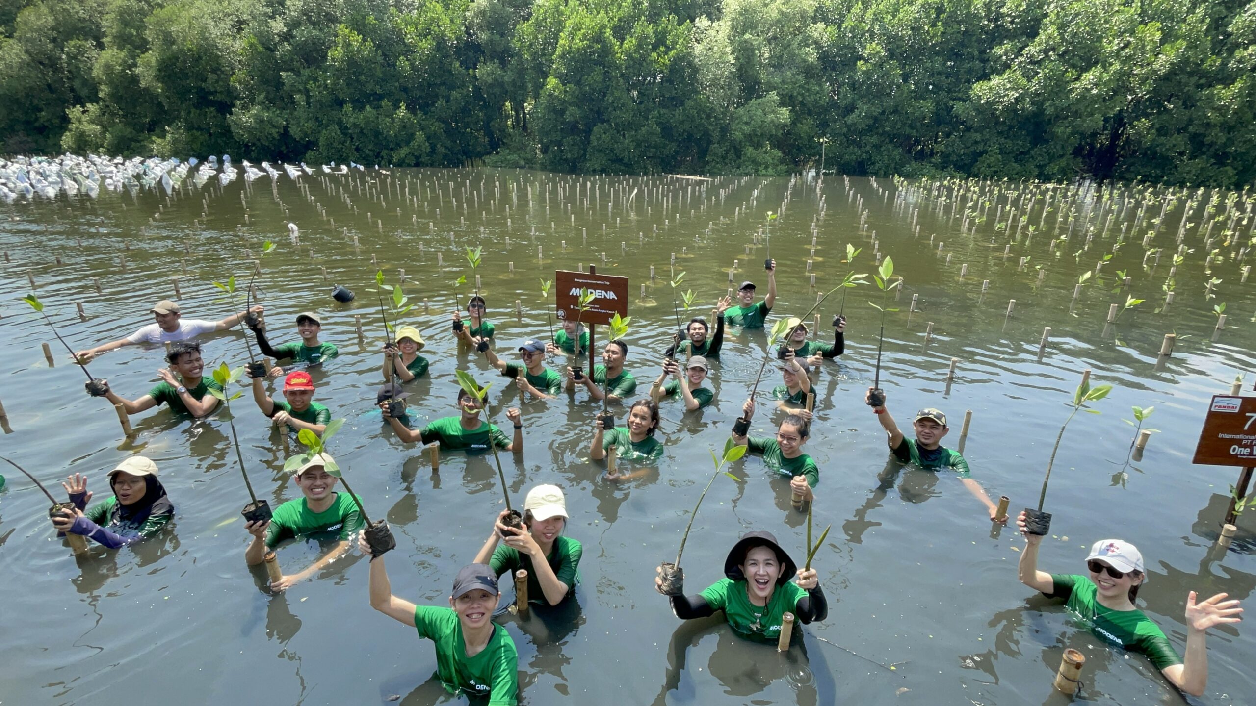 peserta acara CSR Trip terbenam setinggi dada dalam air pada ekosistem mangrove pesisir sebagai langkah komitmen SDGs