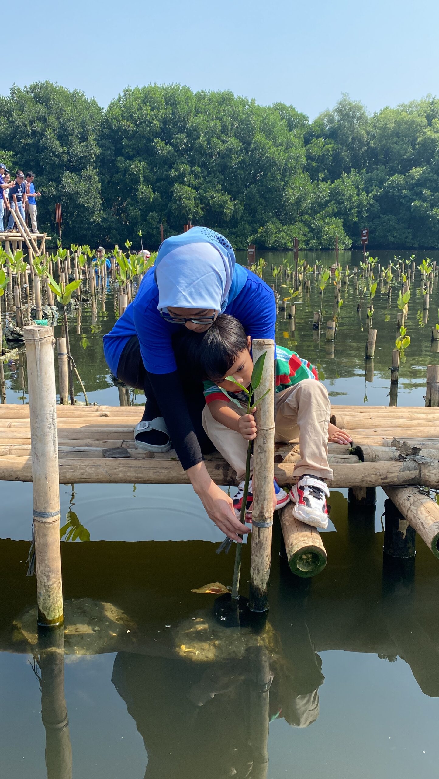 Peserta mangrove planting trip wanita memandu seorang anak perempuan menanam propagul mangrove ke dalam air dari plafon kayu di Angke Nature Park, Jakarta