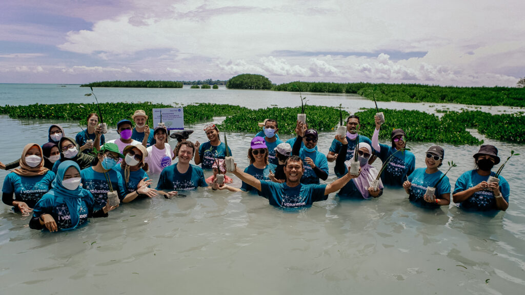 Peserta Kegiatan CSR mangrove planting trip bersama Bumi Journey di Pulau Harapan di dalam air sampai tinggi sedada