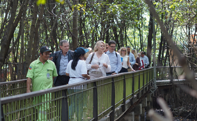 Mangrove Planting, Jakarta
