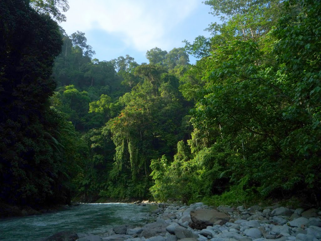 Gunung Leuser National Park