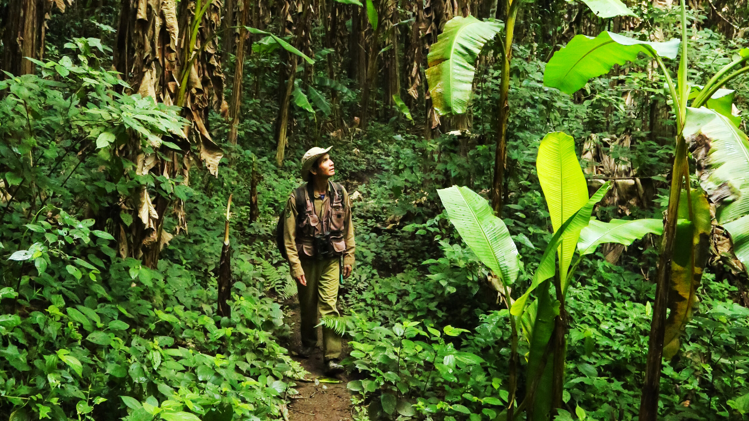 Jungle trekking is an eco-friendly option for an adventure trip