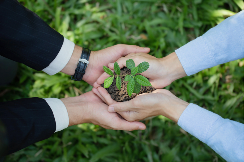 Hindari Greenwashing: Cara Memilih Partner CSR yang Benar-Benar Kredibel