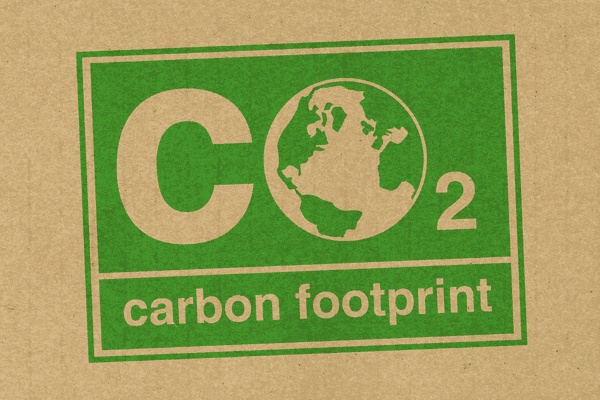 Cara Menghitung Jejak Karbon (Carbon Footprint) dari Acara Outing Tahunan Kantor Anda