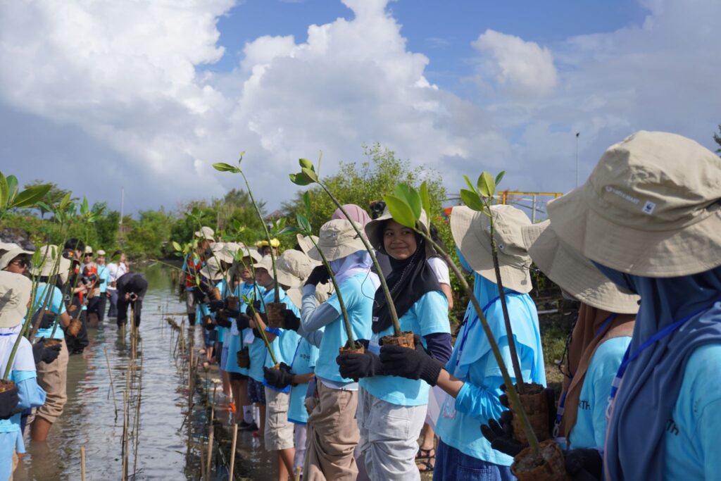 mangrove-planting