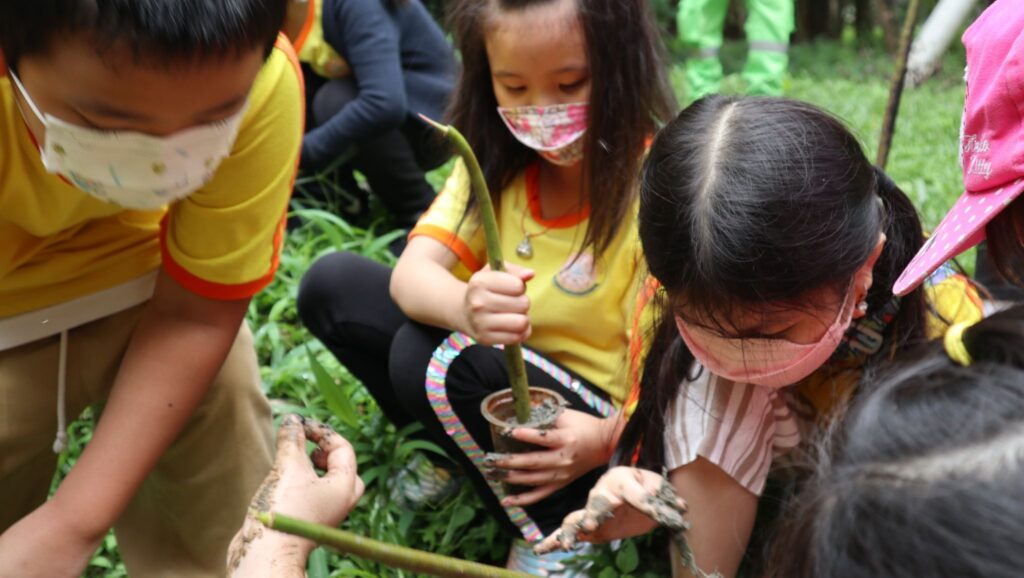 tree-planting