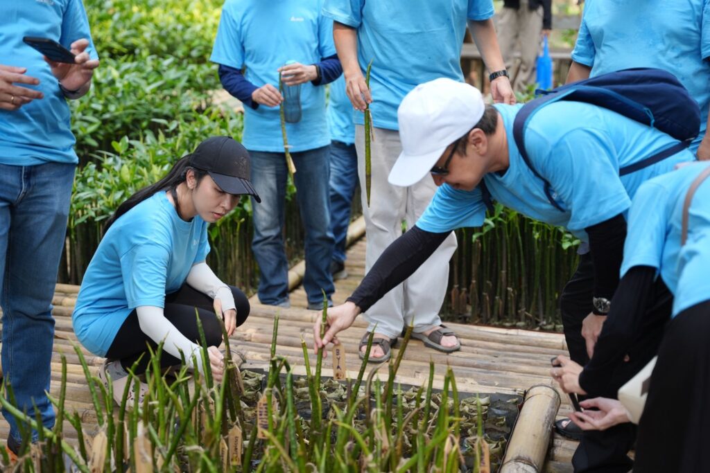 Program CSR Mangrove vs Terumbu Karang: Mana yang Terbaik untuk Perusahaan Anda?