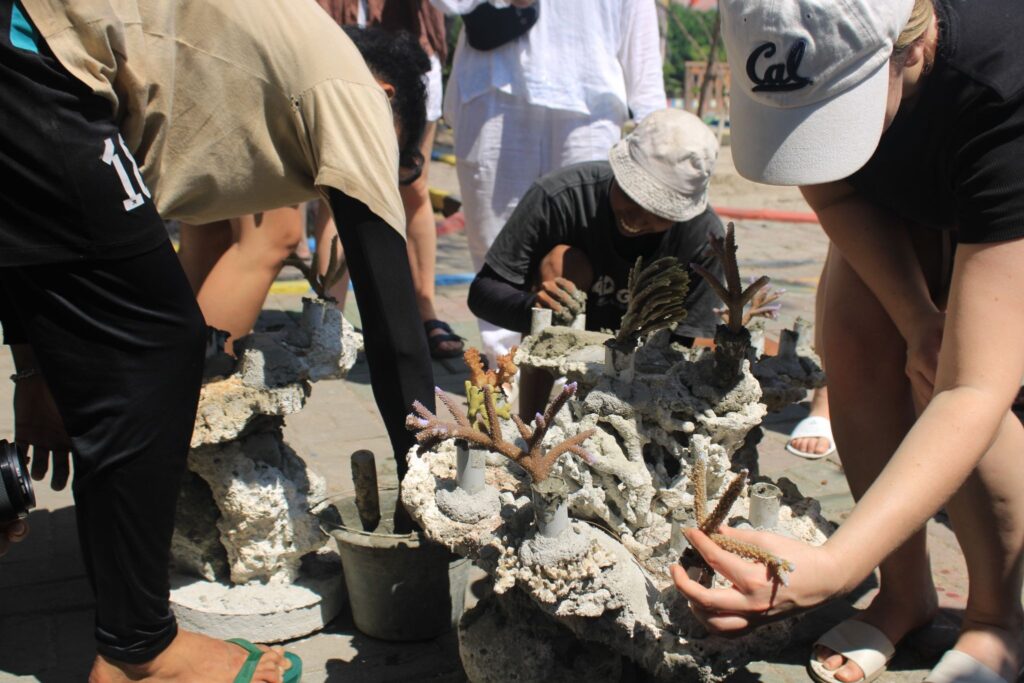 Program CSR Mangrove vs Terumbu Karang: Mana yang Terbaik untuk Perusahaan Anda?
