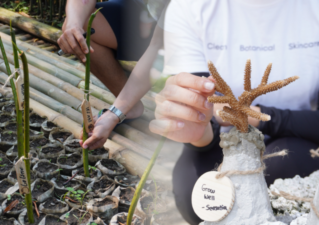 Program CSR Mangrove vs Terumbu Karang: Mana yang Terbaik untuk Perusahaan Anda?